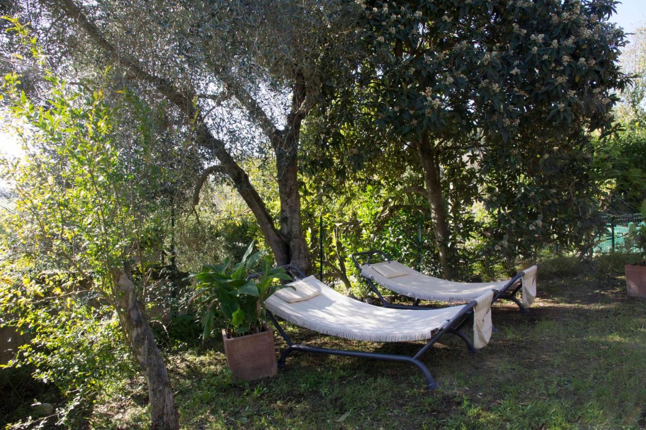Casale San Pietro Bed & Breakfast Otricoli Exterior photo