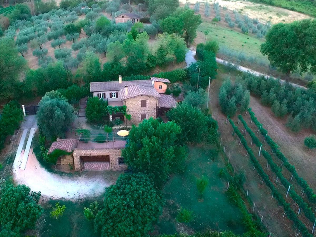 Casale San Pietro Bed & Breakfast Otricoli Exterior photo