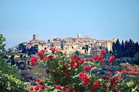 Casale San Pietro Bed & Breakfast Otricoli Exterior photo