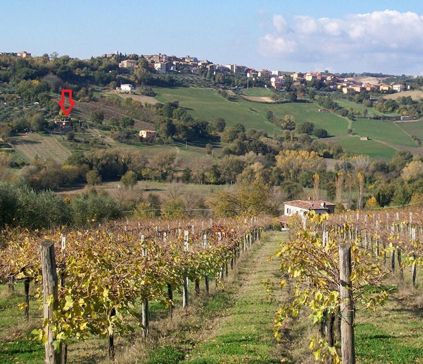 Casale San Pietro Bed & Breakfast Otricoli Exterior photo